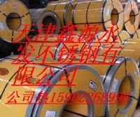 不銹鋼板廠“長春309S不銹鋼板價格”【鋼廠直銷】
