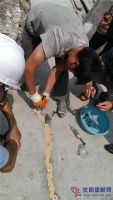 道路橋梁裂縫處理專用技術(shù)/贈送樣品