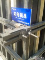 剪力墻模板加固