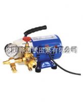 微型電動試壓泵