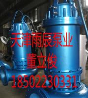 天津雨辰大流量高揚(yáng)程不銹鋼潛水排污泵廠家
