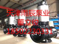 天津雨辰大流量高揚(yáng)程不銹鋼潛水泵