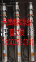 天津雨辰泵業(yè)大流量高揚(yáng)程不銹鋼潛水排污泵
