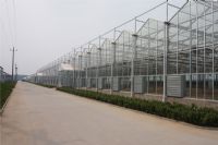 溫室陽光板8mm、10mm陽光板價格